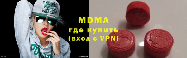 индика Гусев