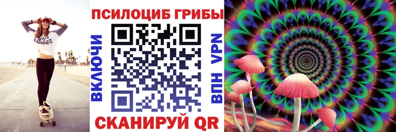 Псилоцибиновые грибы MAGIC MUSHROOMS  blacksprut ссылка  Дегтярск  закладка 