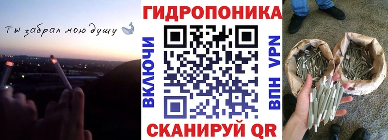 Бошки Шишки MAZAR  дарнет шоп  Дегтярск 